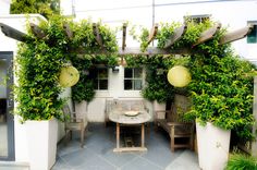 an outdoor dining area with potted plants on the side and wooden benches in front