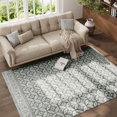 a living room area with a couch, rug and bookcase in front of a window