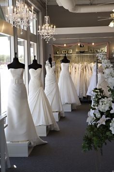 the bridal gowns are on display in the window