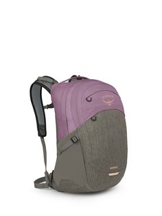 a back pack with two different colors on the front and one is pink, grey and gray