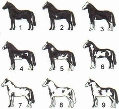 an image of horses that are drawn in black and white with numbers on each side