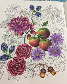 a drawing of flowers and fruit on paper