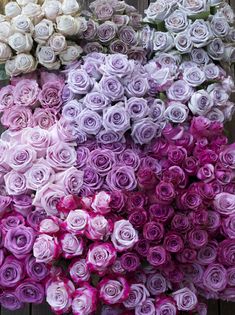 many different types of flowers are arranged together in this photo, including pinks and purples