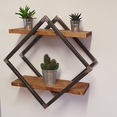 two potted plants sitting on top of wooden shelves