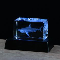 a glass block with a shark in it