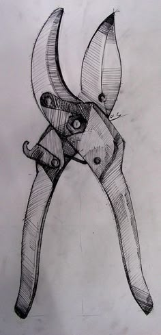 a pencil drawing of a pair of scissors