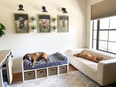 two dogs laying on top of a dog bed in a living room next to a window