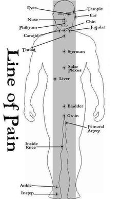 the human body with all its major parts labeled in english and chinese characters on it