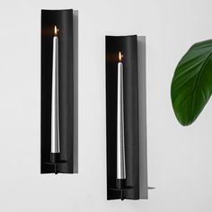 two candles are on the wall next to a plant