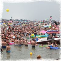 a large group of people in the water at a beach