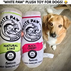 a brown dog sitting next to two white paw plush toy for dogs