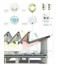 the diagram shows an escalator and stairs with different sections labeled in each section