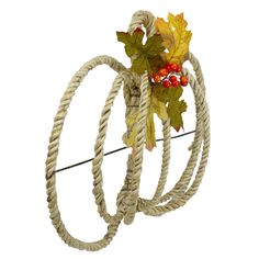 two ropes with leaves and berries hanging from it's ends on a white background