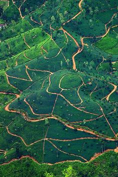 an aerial view of green hills and trees