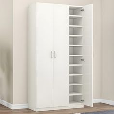 an empty white closet in a room with hardwood floors and walls, including a rug on the floor