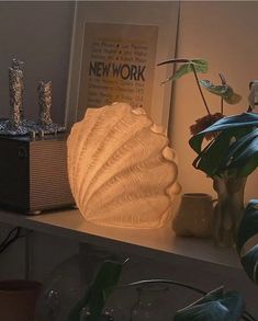 a white shelf topped with lots of plants next to a vase filled with flowers and candles