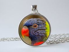 a colorful bird sitting on top of a silver chain