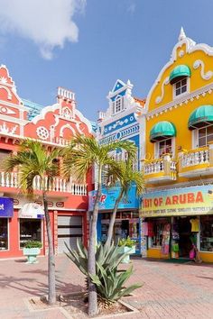 brightly colored buildings line the street in front of palm trees