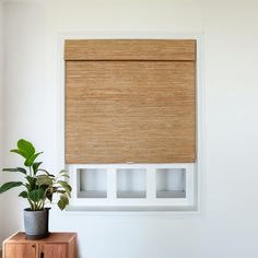 a plant is sitting next to a window in a white room with wooden blinds on the windowsill