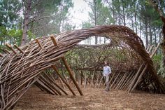 a man standing in front of a wooden structure made out of sticks and branches, surrounded by trees