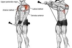 an image of a man doing exercises with dumbbells and barbell curls on his back