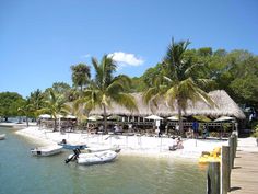 people are on the beach with boats and thatched umbrellas in the water near some palm trees