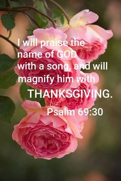 pink roses with the words i will praise the name of god with a song and will magnify him with thanksgiving, person