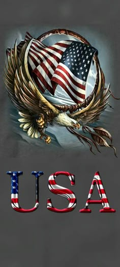 an american flag and eagle with the word usa