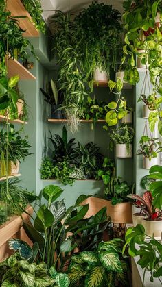 25 House Plants Decoration Ideas for an Urban Jungle Indoor Plants Bedroom, Jungle House, Bathroom Showers, Linear Drain, نباتات منزل�ية, Plant Decor Indoor, Plant Aesthetic