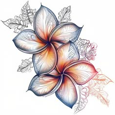 Vivid Plumeria Tattoo Vector Art Maui Inspired Tattoos, Watercolor Plumeria Tattoo, Plumeria Arm Tattoo, Plumeria Line Art, Waves Back Tattoo, Florida Flower Tattoo, Hawaiian Island Tattoo For Women, Plumeria Tattoo Designs, Hawaiian Flower Tattoos For Women