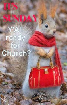 a squirrel is holding a red purse in its paws and wearing a scarf around it's neck