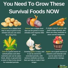 an image of food that you need to grow these survival foods now