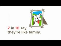 an advertisement with a dog in a frame and the words, 7 in 10 say they're like family