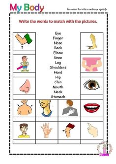 a worksheet with pictures and words to match the body's shape,