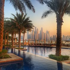 palm trees line the edge of a swimming pool in front of a cityscape