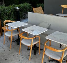 tables and chairs are lined up against a wall with plants in the backround