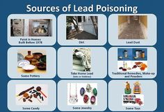 Child Lead Poisoning Prevention Program | Siskiyou County California Director Of Nursing, Care Coordination, Facts For Kids, Childrens Health, Fact Sheet, Human Services