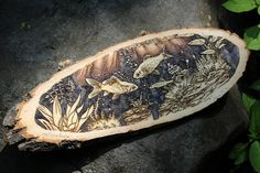 a piece of wood with fish and plants on it