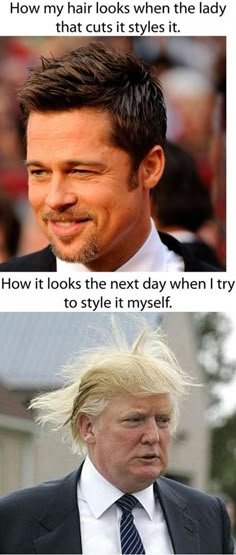 My hair looks bad some days but NEVER as bad as that jackasses. Trump, I mean. Not the other one. Laffy Taffy, Friday Humor, Can't Stop Laughing, Look Here, Laughing So Hard, Look At You, Brad Pitt, Looks Style