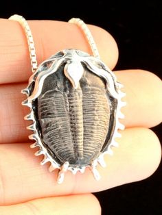 Trilobite Necklace Fossil Pendant Fossil Jewelry Ocean Jewelry Prehistoric Artifact Trilobite Pendan Fossil Art, Fossil Necklace, Dinosaur Jewelry, Jewelry Ocean, Trilobite Fossil, Fossil Jewelry, Insect Jewelry, Ocean Jewelry, Funky Jewelry