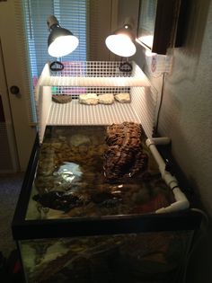 a fish tank filled with food under a light on top of a counter next to a window