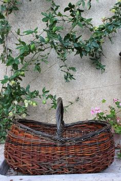 a woven basket sitting on the ground next to some flowers and plants in front of a stone wall