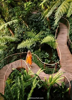 a woman in an orange dress is walking across a wooden walkway surrounded by trees and ferns