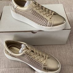 New In Box. Gold Sneakers With Perforations, Gold Low-top Sneakers With Perforations, Casual Gold Low-top Platform Sneakers, Gold Lace-up Sneakers With Textured Sole, Gold Sneakers, Steve Madden Shoes, Womens Shoes Sneakers, Steve Madden, Shoes Sneakers