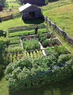 an aerial view of a vegetable garden in the country