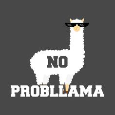 an image of a white llama with sunglasses on it's head and the words no probillama