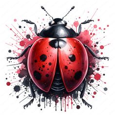 a ladybug painted in red and black with splats on the side