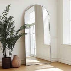 a large mirror sitting on top of a wooden floor next to a potted plant