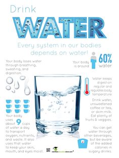 Drink Water Poster - 18x 24" Laminated Poster - Healthy Beverage Poster👇

Drink Water Poster - 18x 24" Laminated Poster
This beautiful infographic poster puts a hero spin on the boring drink of water. 
Drink Water poster: Think water is boring? Think again! This poster explains that there’s a reason why water is so important — be... https://postdolphin.com/t/LQRR2 Drink Water Poster, Nutrition Poster, Beverage Poster, Water Challenge, Honey Water, Water Poster, School Health, Infographic Poster, Math Poster