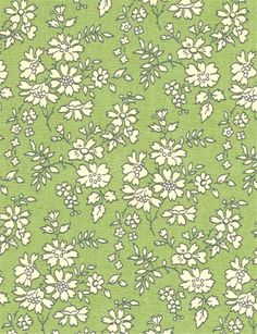 a green and white flowered background with small flowers on the bottom half of it